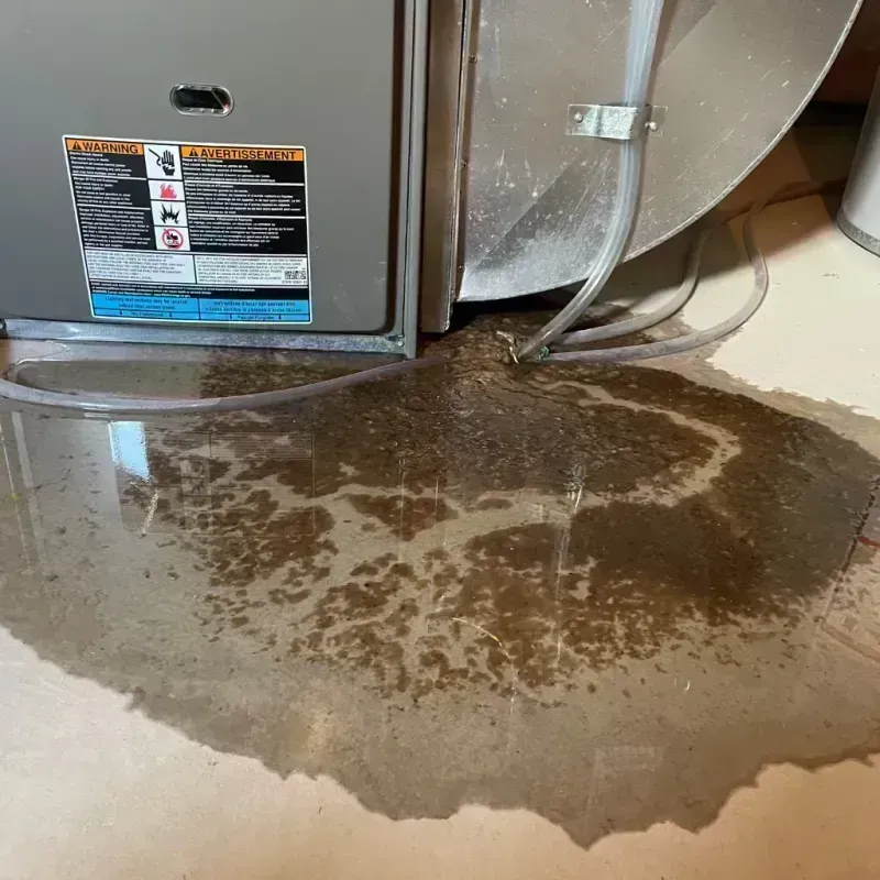 Appliance Leak Cleanup in Highland, IL